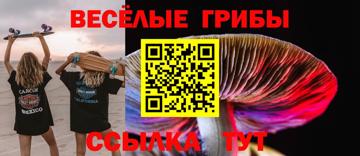 Псилоцибиновые грибы MAGIC MUSHROOMS  Псилоцибиновые грибы GOLDEN TEACHER  Вход с VPN  Барабинск 